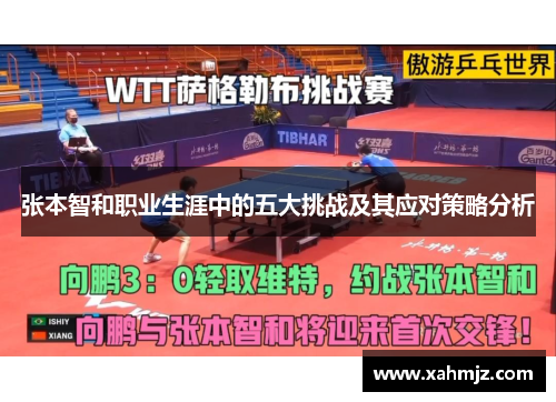 张本智和职业生涯中的五大挑战及其应对策略分析 张本智和职业生涯中的五大挑战及其应对策略分析